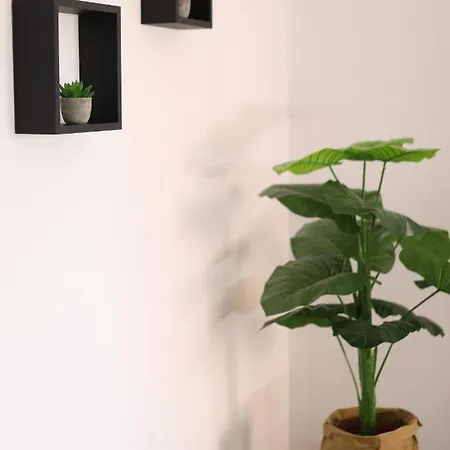 2nd Floor - Holiday House